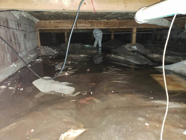 Best Sewage Cleanup and Restoration in Merrick, NY